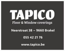Logo Tapico
