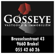 Logo Gosseye Vastgoed en Immobiliën